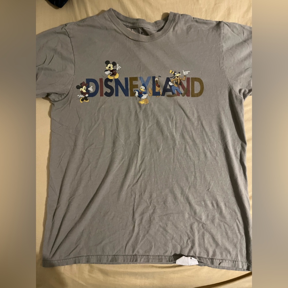 Hanes Gray Disneyland T-Shirt